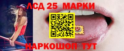 амф Камышлов