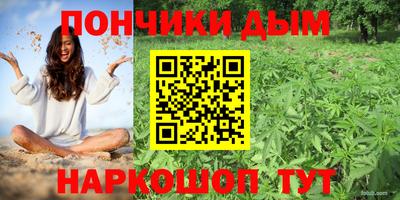 амф Камышлов