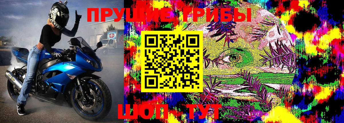 Псилоцибиновые грибы мухоморы Кинель